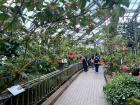 Here is the greenhouse section of the botanical gardens, where most of the exotic plants where displayed.