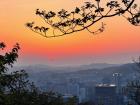 Here is the view from the top of Mount Namsan