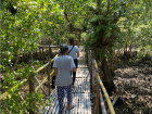 Nang Julia walking among the mangroves