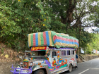 "Jeepneys" are always bright and colorful--I loved the art on this one!