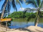 A swamp offshoot from the sea in Tayrona