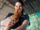 My favorite restaurant's chicken