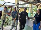 The contraption used to move, clean and cut the bananas