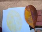 My first leaf print