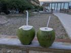 Coconut trees can also be found pretty abundantly here!