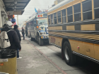 Not all buses are equally decorated. See the difference?