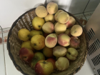 We ate all these peaches in 2 days!