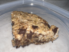 A slice of chocolate chip-oatmeal banana bread