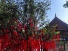 The red ribbons are wishes tied to a wishing tree.