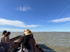 Boat ride in Valencia where we saw where they harvest rice