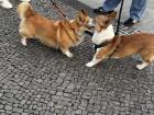 Diesel met a cousin on the street 