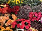 Flowers at the market 