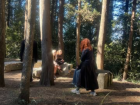 We were observing plants in the fresh air of Monte Oliveto