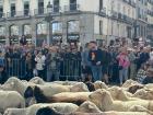 The Sheep Festival reenacts an ancient tradition of sheep from the fields crossing through the city to get to the other side of the fields