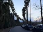 A view of San Martín Park, the largest park in Mendoza, which is home to the University of Cuyo, a sports club, a lake and more!