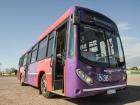 The buses that transport people around the city of Mendoza... Facundo uses this to get to school!