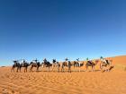 All of my friends and I together on a bunch of camels