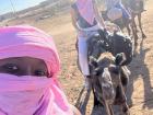 A selife on a camel