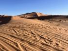 The beautiful landscape of the sand dunes 