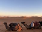 Watching the sunrise in the desert of Morocco