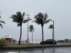 Rainy coast and palm trees in Ipanema, R.J.