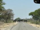 A traffic jam in Botswana