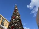 Valletta's Christmas Tree