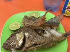 This is a Mojarra frita which is the fried fish I had at a restaurant recently
