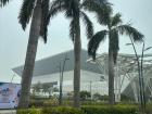 Palm trees by the Yashobhoomi Convention Center in Delhi