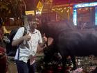 A fellow Fulbrighter, Ajay, posing with cows outside an ice cream shop