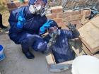 Two Peace Corps volunteers together cleaning a water system with chemicals
