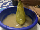 Kava 