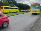 Buses on the road