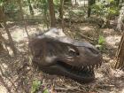 Giant skull on display
