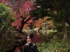 My study abroad trip to Japan! The fall colors were very vibrant