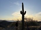 Comparing my height to a cactus in Arizona. I never knew how big they were