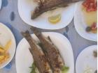 Levrek (sea bass) is the most loved and popular fish here in Albania