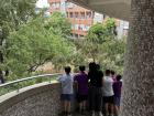 Students peer over the rail to watch a bird roost over her eggs