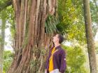 A really big tree at the temple complex I visited 