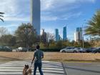 Crossing the street into Rufino Tamayo Park, one of the coolest parks we have been to so far