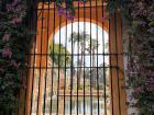View of the Alcazar's gardens