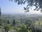 Leisurely stroll in Tuscany
