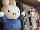 Textbooks and a miffy doll! 