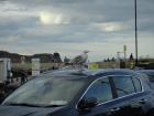 A seagull in Howth, ready to swoop down and steal your ice cream