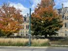 Fall foliage in on University of Toronto campus 