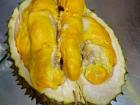 Durian bawor is sweeter, creamier,and more orange than other durian variants
