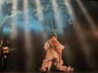 A "flamenco" dancer posing - "flamenco" is a traditional Spanish art form that includes singing, dancing and guitar music