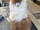This is a mini alpaca doll I bought for my friend at the market, and its fur came from a real alpaca—it was so soft I wanted to hold it all day long