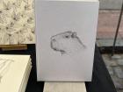 A capybara drawing at the market shows how popular these animals are in Argentina
