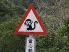 Check out this road sign. Can you tell what it's warning of?